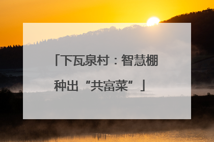 下瓦泉村：智慧棚种出“共富菜”