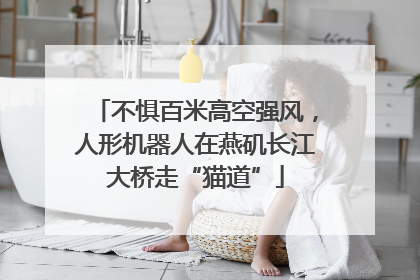 不惧百米高空强风，人形机器人在燕矶长江大桥走“猫道”
