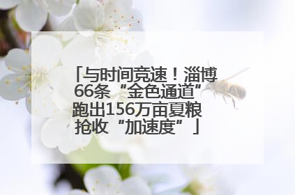 与时间竞速！淄博66条“金色通道”跑出156万亩夏粮抢收“加速度”