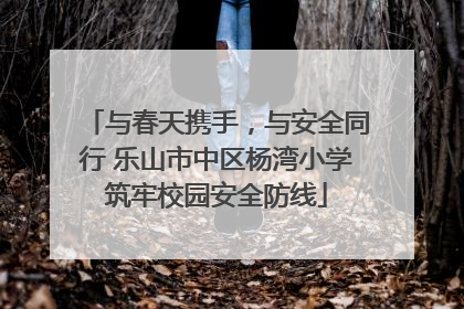 与春天携手，与安全同行 乐山市中区杨湾小学筑牢校园安全防线