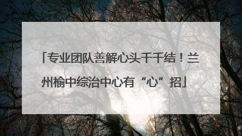 专业团队善解心头千千结！兰州榆中综治中心有“心”招