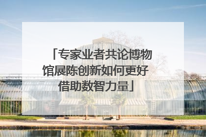 专家业者共论博物馆展陈创新如何更好借助数智力量