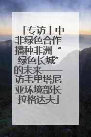 专访丨中非绿色合作播种非洲“绿色长城”的未来——访毛里塔尼亚环境部长拉格达夫