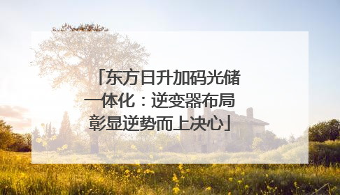 东方日升加码光储一体化：逆变器布局彰显逆势而上决心