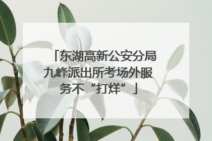 东湖高新公安分局九峰派出所考场外服务不“打烊”