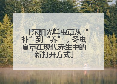 东阳光鲜虫草从“补”到“养”，冬虫夏草在现代养生中的新打开方式