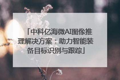 中科亿海微AI图像推理解决方案：助力智能装备目标识别与跟踪