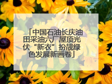 中国石油长庆油田采油六厂屋顶光伏“新衣”扮靓绿色发展新画卷