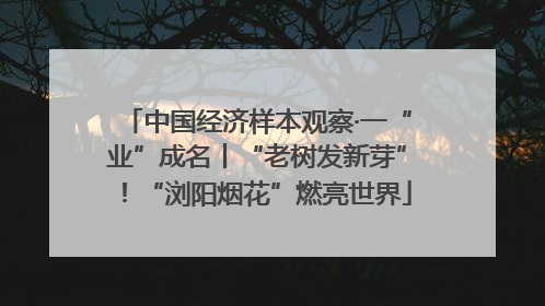 中国经济样本观察·一“业”成名丨“老树发新芽”！“浏阳烟花”燃亮世界