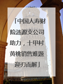 中国人寿财险涟源支公司助力，十甲村黄桃销售难题迎刃而解