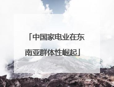 中国家电业在东南亚群体性崛起