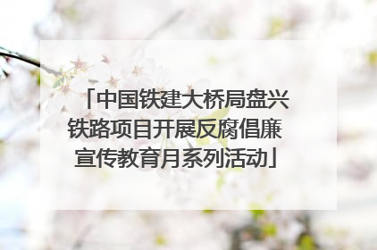 中国铁建大桥局盘兴铁路项目开展反腐倡廉宣传教育月系列活动