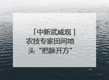 中新武威观｜农技专家田间地头“把脉开方”送“及时雨”