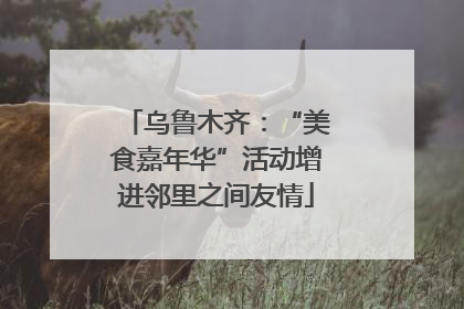 乌鲁木齐：“美食嘉年华”活动增进邻里之间友情