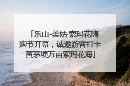 乐山-美姑·索玛花嗨购节开幕，诚邀游客打卡黄茅埂万亩索玛花海