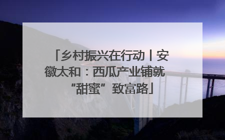 乡村振兴在行动丨安徽太和：西瓜产业铺就“甜蜜”致富路