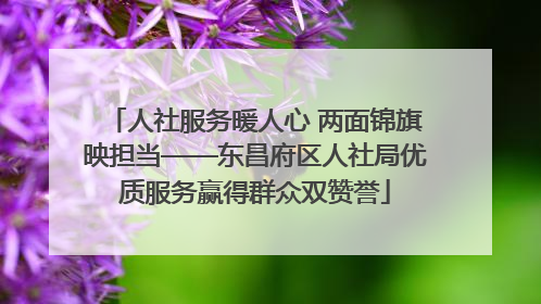 人社服务暖人心 两面锦旗映担当——东昌府区人社局优质服务赢得群众双赞誉