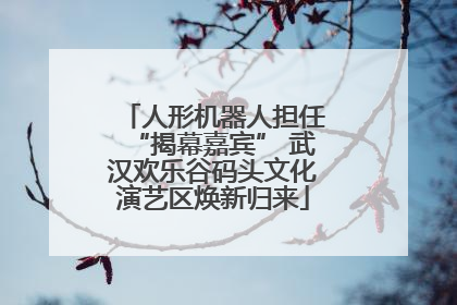 人形机器人担任“揭幕嘉宾” 武汉欢乐谷码头文化演艺区焕新归来