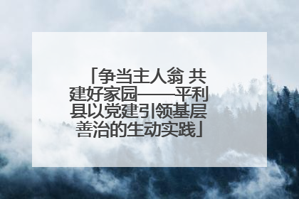 争当主人翁 共建好家园——平利县以党建引领基层善治的生动实践
