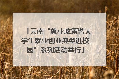 云南“就业政策暨大学生就业创业典型进校园”系列活动举行
