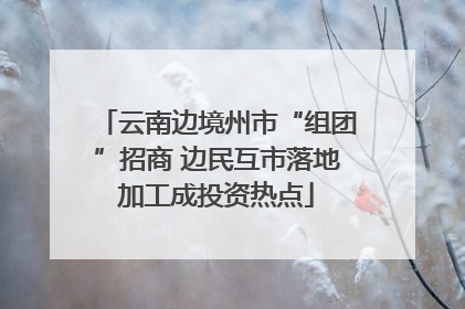 云南边境州市“组团”招商 边民互市落地加工成投资热点