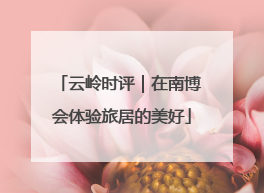 云岭时评｜在南博会体验旅居的美好