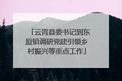 云霄县委书记到东厦镇调研党建引领乡村振兴等重点工作