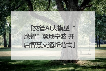 交管AI大模型“鹰智”落地宁波 开启智慧交通新范式