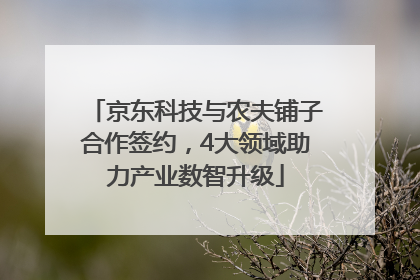 京东科技与农夫铺子合作签约，4大领域助力产业数智升级