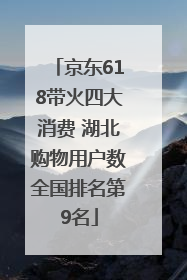 京东618带火四大消费 湖北购物用户数全国排名第9名