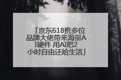 京东618携多位品牌大佬带来海量AI硬件 用AI把2小时自由还给生活