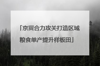 京冀合力攻关打造区域粮食单产提升样板田