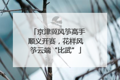 京津冀风筝高手顺义开赛，花样风筝云端“比武”