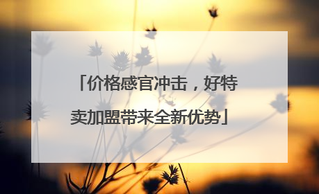 价格感官冲击，好特卖加盟带来全新优势