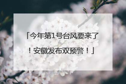 今年第1号台风要来了！安徽发布双预警！