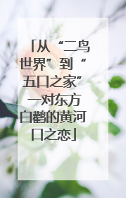 从“二鸟世界”到“五口之家” 一对东方白鹳的黄河口之恋