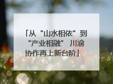 从“山水相依”到“产业相融” 川渝协作再上新台阶