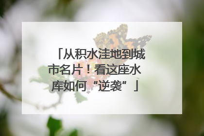 从积水洼地到城市名片！看这座水库如何“逆袭”