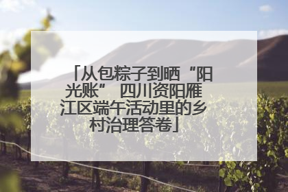 从包粽子到晒“阳光账” 四川资阳雁江区端午活动里的乡村治理答卷