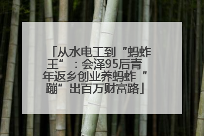 从水电工到“蚂蚱王”：会泽95后青年返乡创业养蚂蚱“蹦”出百万财富路