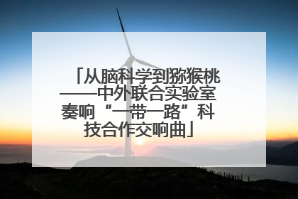 从脑科学到猕猴桃——中外联合实验室奏响“一带一路”科技合作交响曲