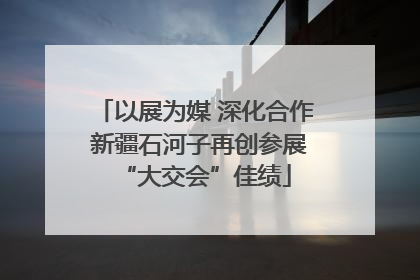 以展为媒 深化合作 新疆石河子再创参展“大交会”佳绩