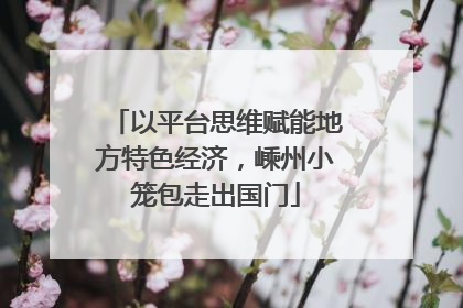 以平台思维赋能地方特色经济，嵊州小笼包走出国门