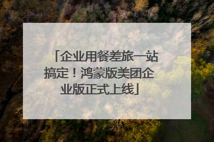 企业用餐差旅一站搞定！鸿蒙版美团企业版正式上线