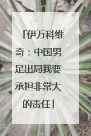 伊万科维奇：中国男足出局我要承担非常大的责任