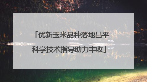 优新玉米品种落地昌平 科学技术指导助力丰收