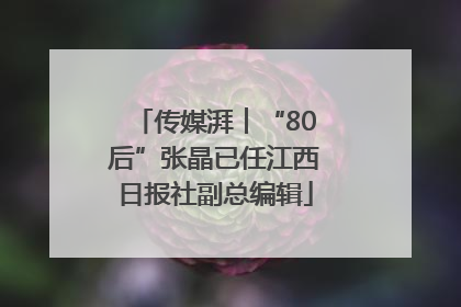传媒湃︱“80后”张晶已任江西日报社副总编辑
