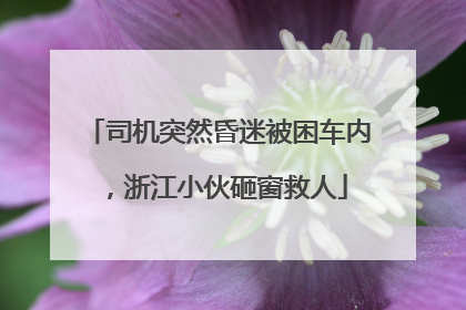 司机突然昏迷被困车内，浙江小伙砸窗救人