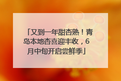 又到一年甜杏熟！青岛本地杏喜迎丰收，6月中旬开启尝鲜季