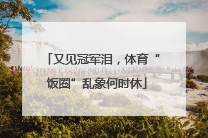 又见冠军泪，体育“饭圈”乱象何时休